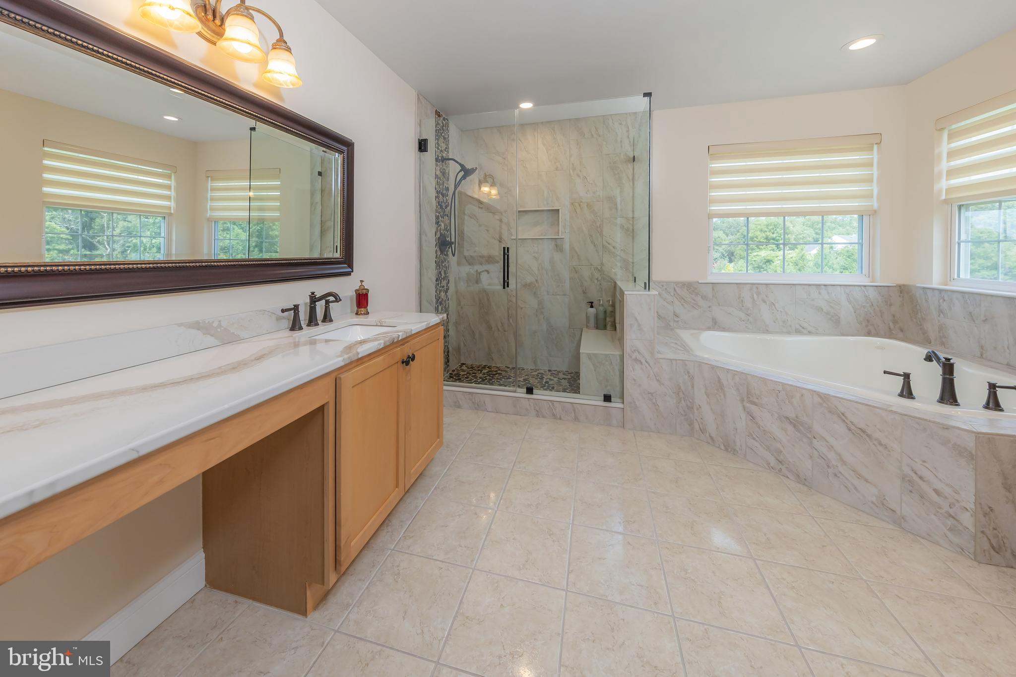 116 Tammy Lane Mickleton, NJ 08056 - Photo 28 of 66 Updated en-suite with marble tile shower