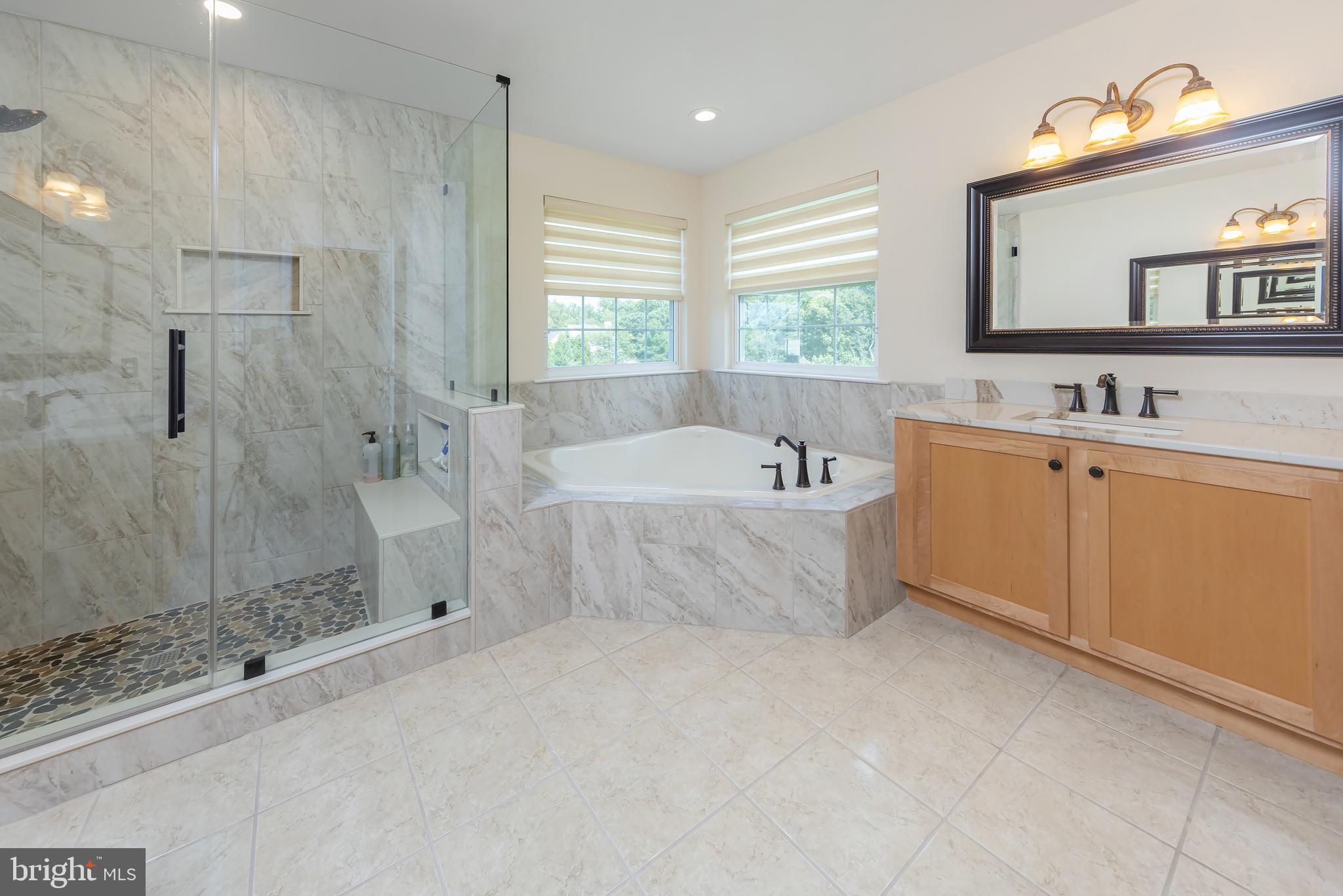116 Tammy Lane Mickleton, NJ 08056 - Photo 29 of 66 Large vanity and relaxing spa like tub!