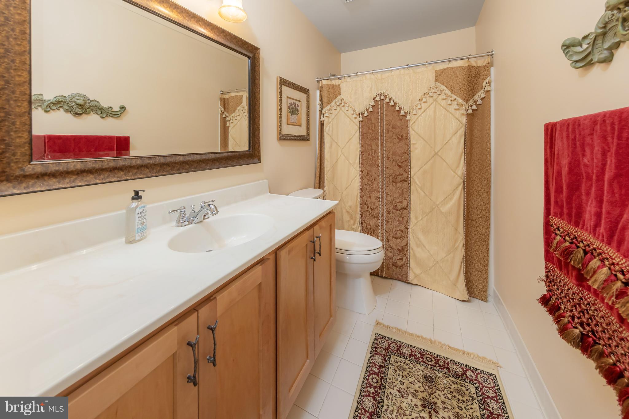 116 Tammy Lane Mickleton, NJ 08056 - Photo 31 of 66 Main Hall bath