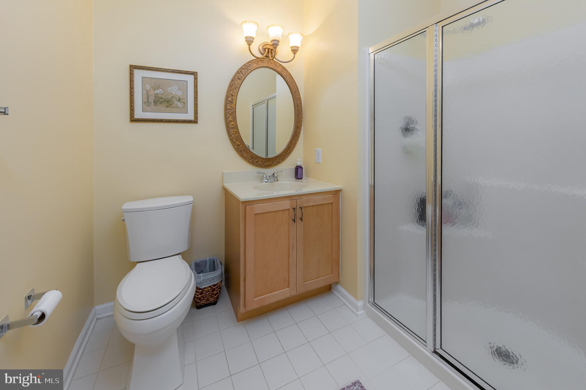 116 Tammy Lane Mickleton, NJ 08056 - Photo 39 of 66 Full bath in lower level