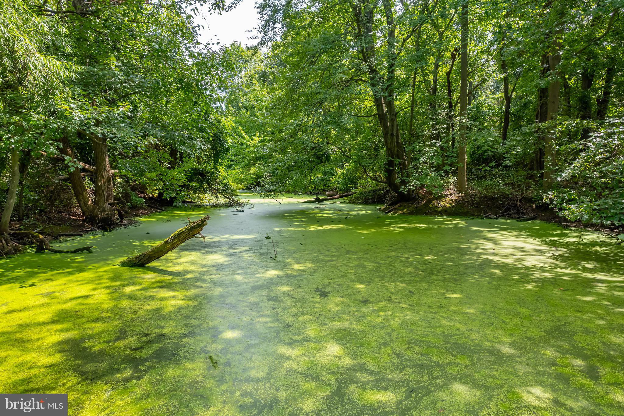 116 Tammy Lane Mickleton, NJ 08056 - Photo 42 of 66 Backs to Stillman River!