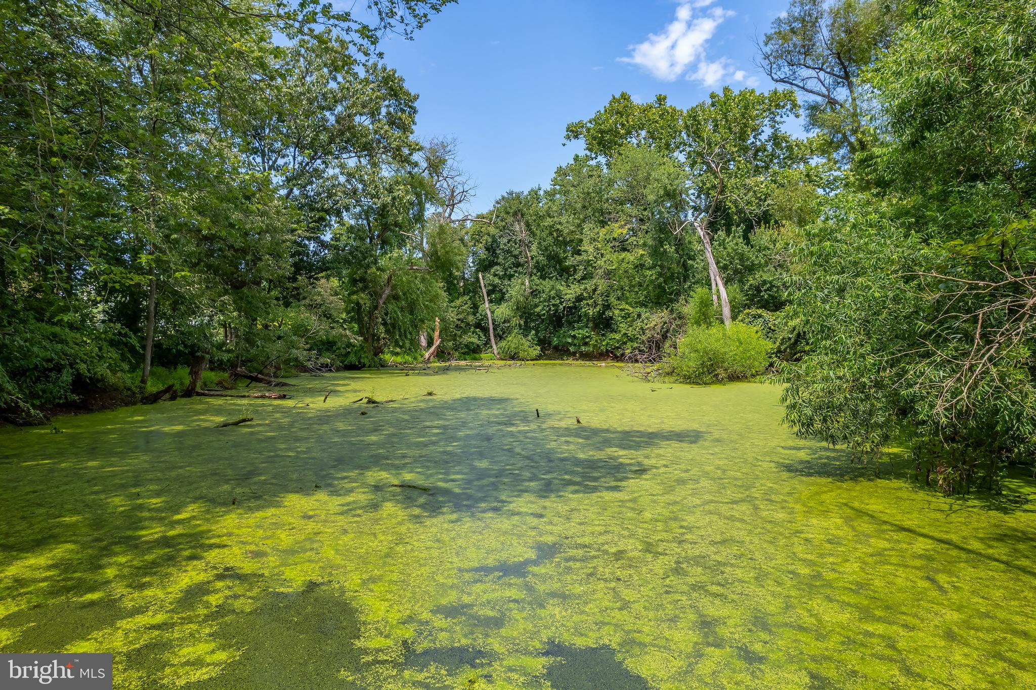 116 Tammy Lane Mickleton, NJ 08056 - Photo 52 of 66 Kayak and canoe right out of your yard!