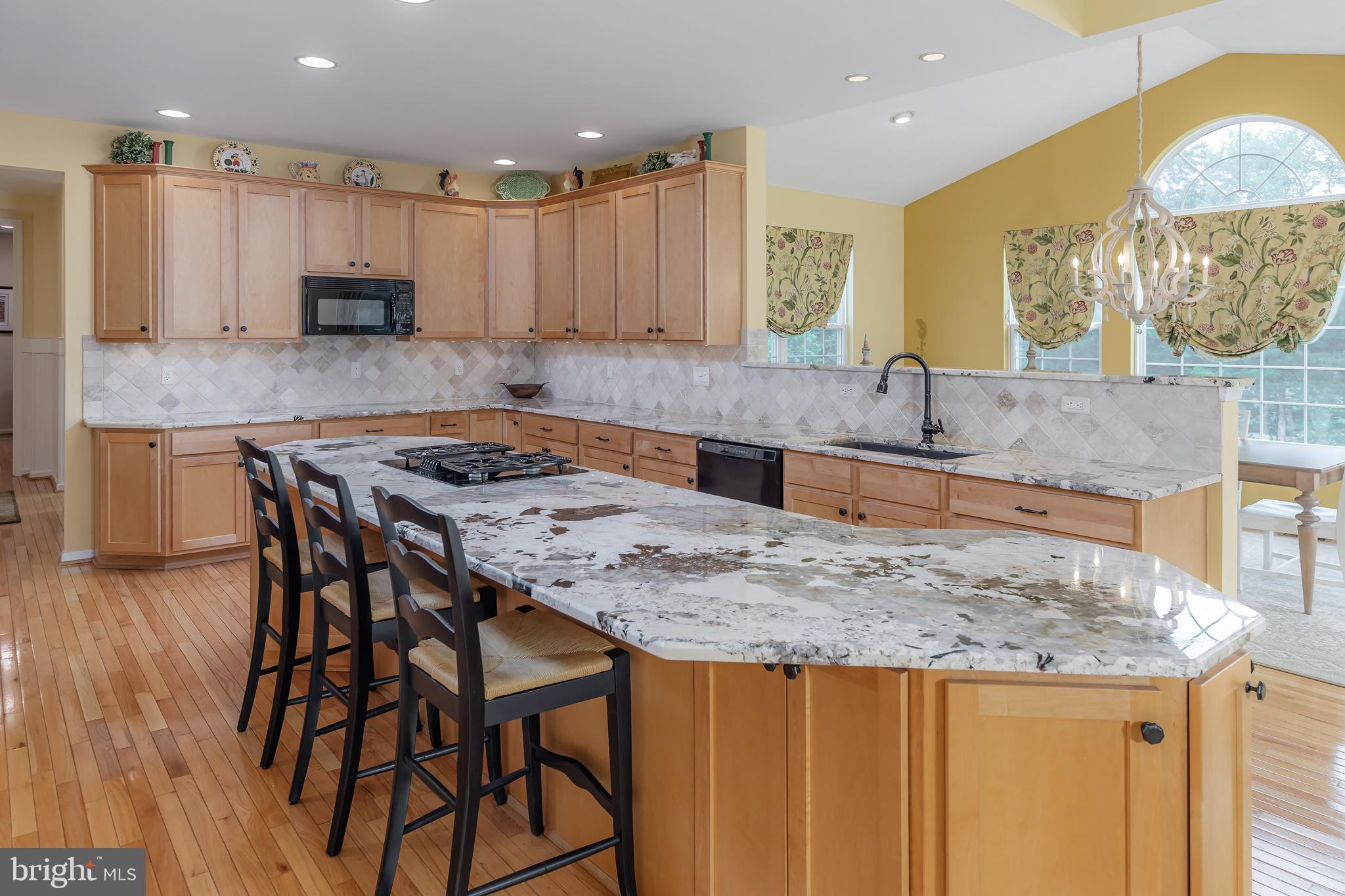 116 Tammy Lane Mickleton, NJ 08056 - Photo 8 of 66 Gorgeous Upgraded Granite counter tops!