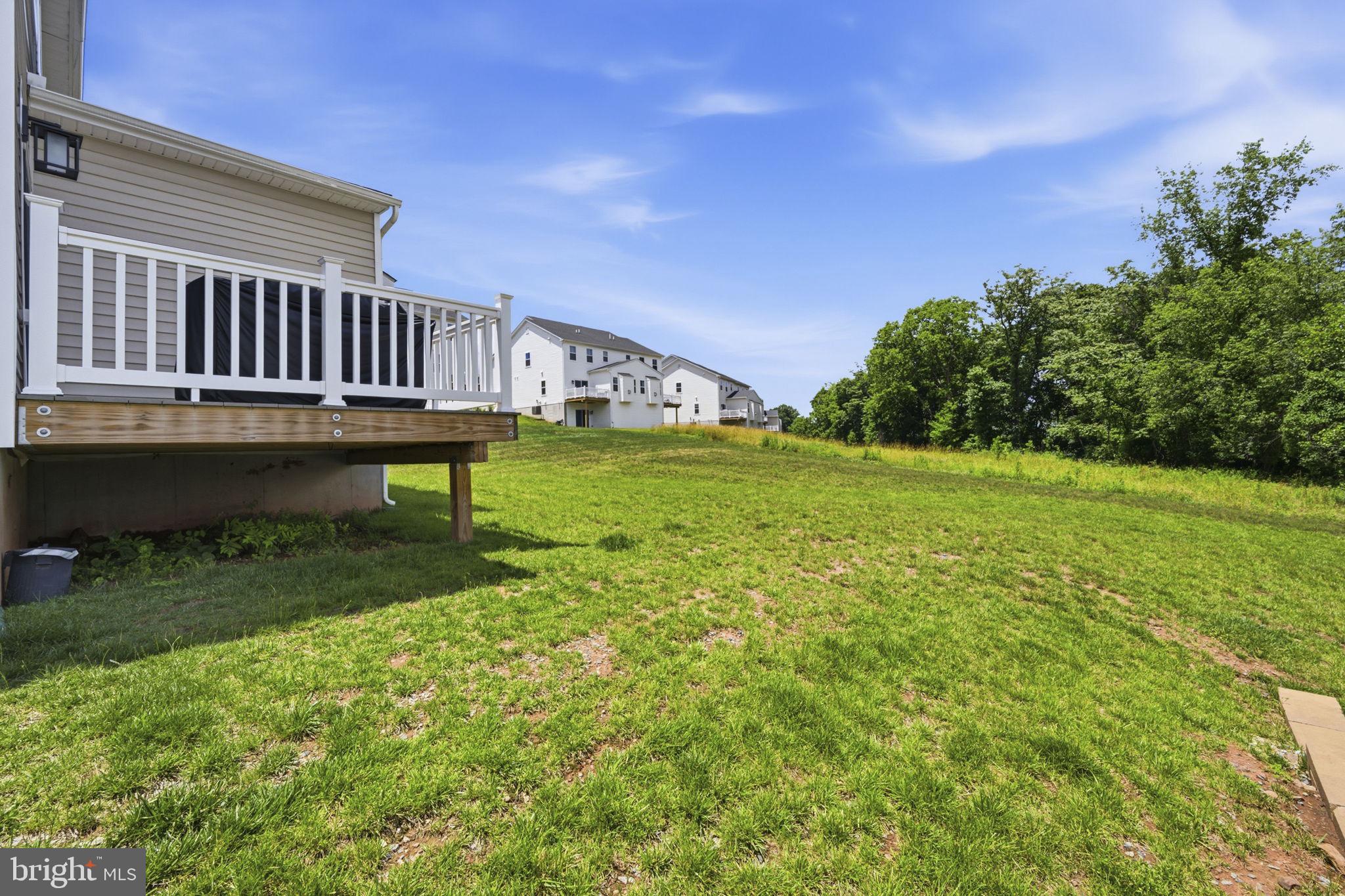 727 Hunsberger Road Spring City, PA 19475 - Photo 21 of 56 Spacious backyard with serene views.