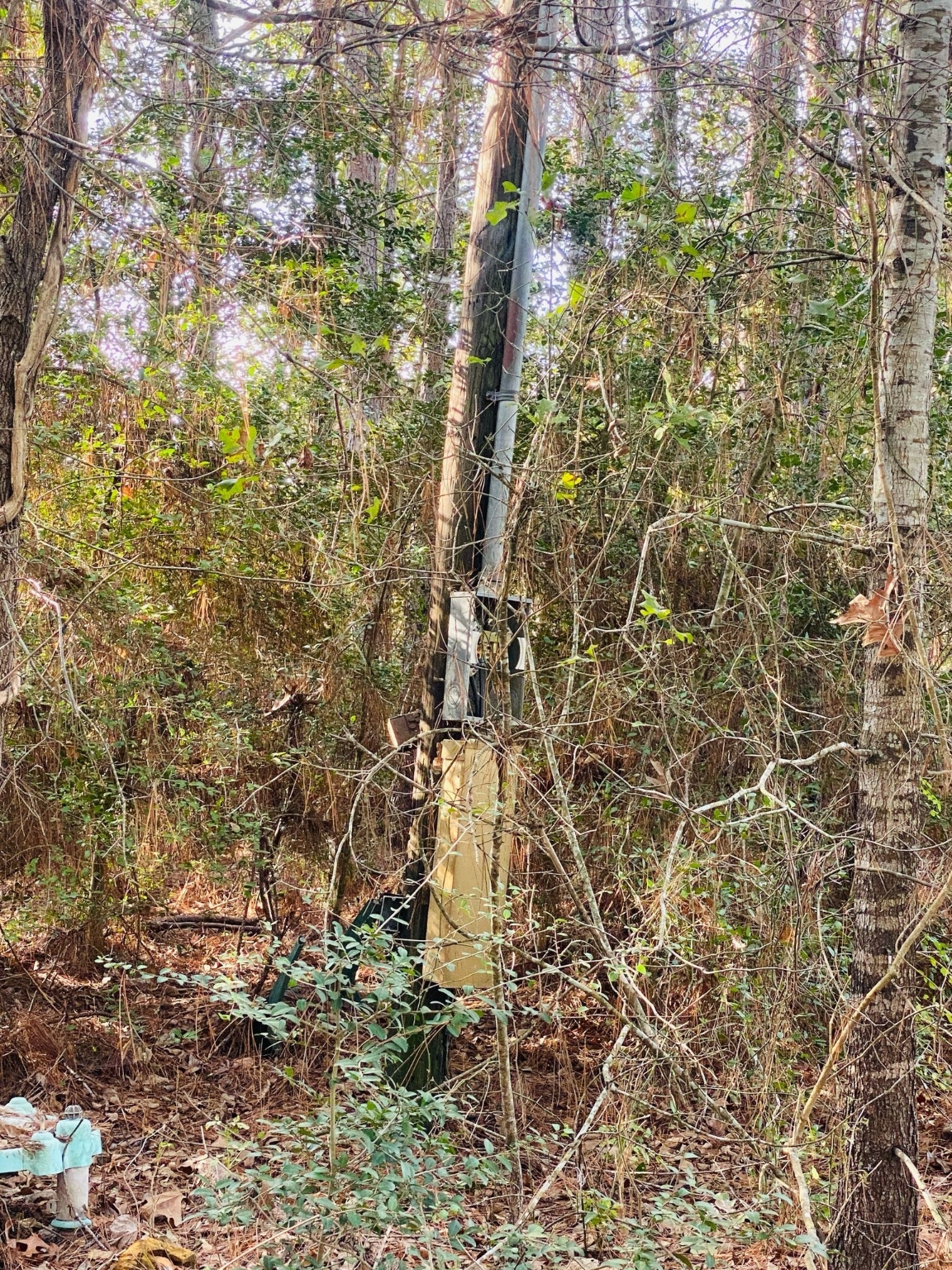 14218 Farm To Market Road 356 Trinity, TX 75862 - Photo 2 of 5 a bathroom with a shower