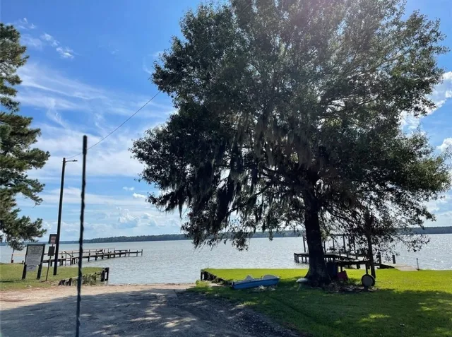 a view of a park with trees