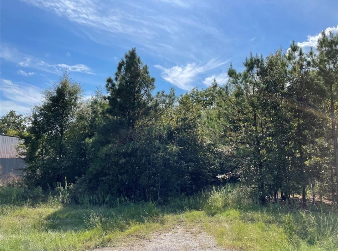 14218 Farm To Market Road 356 Trinity, TX 75862 - Photo 5 of 5 a view of lake