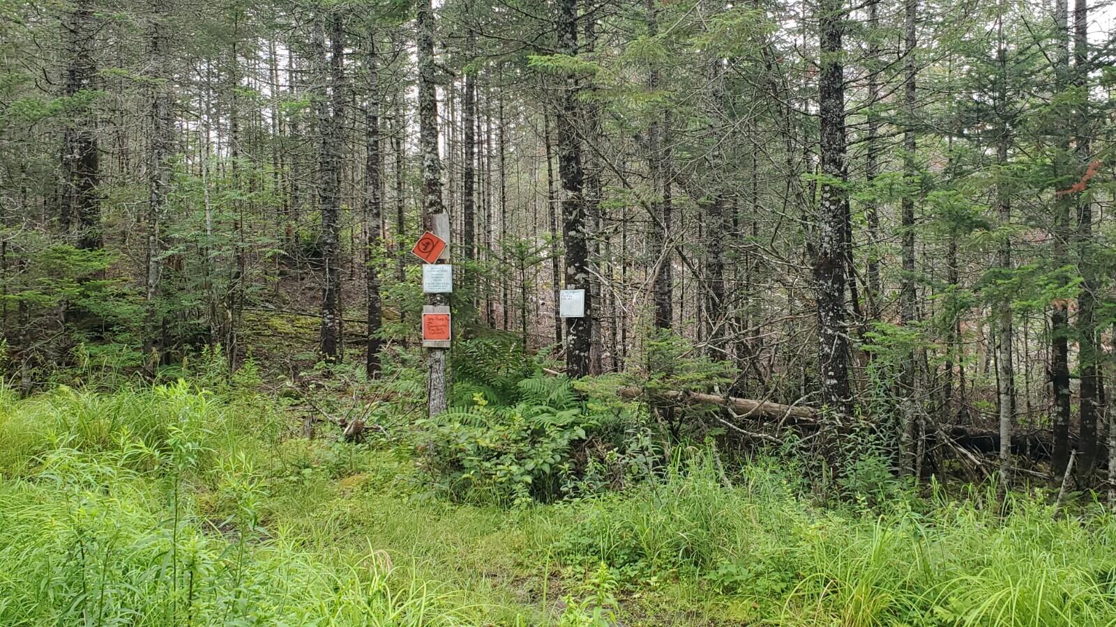 Lot 6 82-06-0 Road Wesley, ME 04686 - Photo 9 of 10 20210715_115546