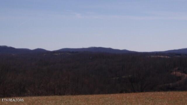 Lot 63 Walleye Drive Celina, TN 38551 - Photo 12 of 24 100_0014