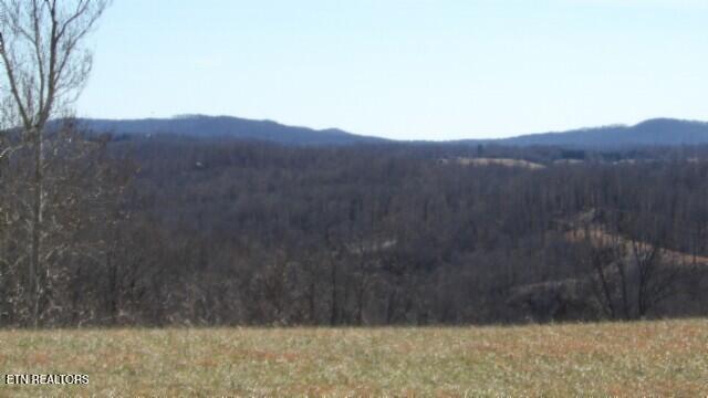 Lot 63 Walleye Drive Celina, TN 38551 - Photo 15 of 24 100_0017