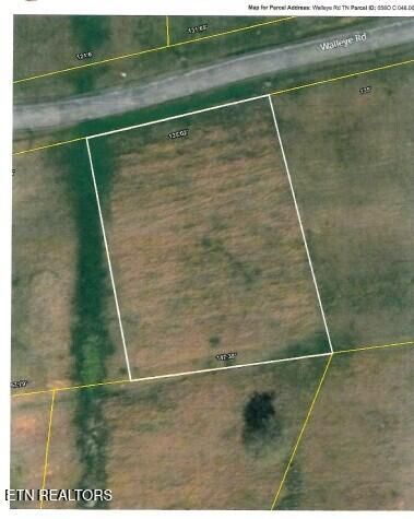 Lot 63 Walleye Drive Celina, TN 38551 - Photo 23 of 24 AERIAL MAP