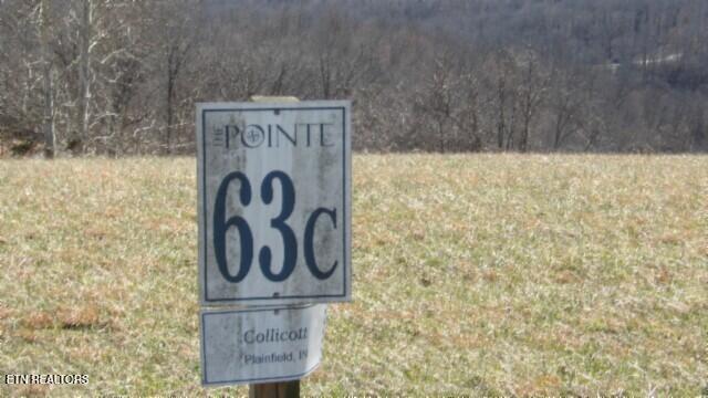 Lot 63 Walleye Drive Celina, TN 38551 - Photo 3 of 24 100_0002