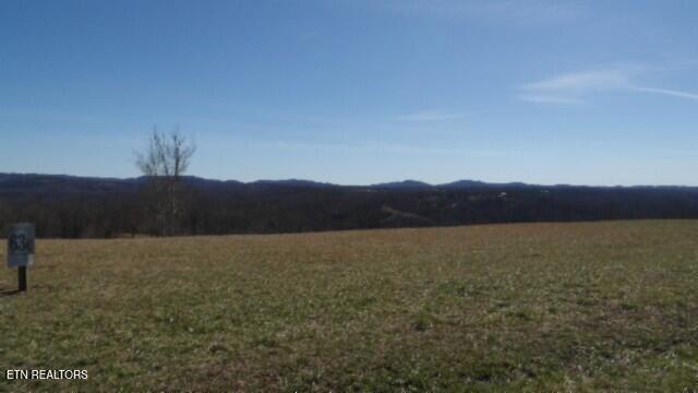 Lot 63 Walleye Drive Celina, TN 38551 - Photo 4 of 24 100_0006