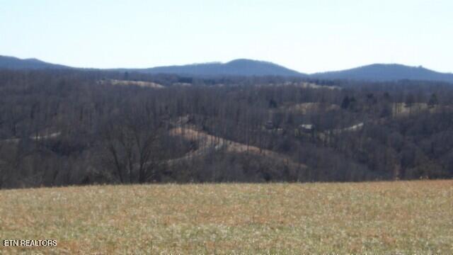Lot 63 Walleye Drive Celina, TN 38551 - Photo 5 of 24 100_0007