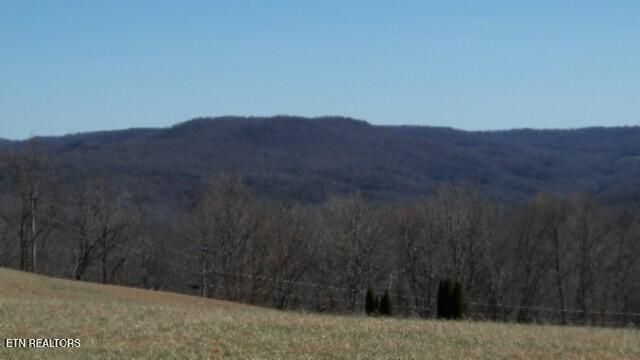 Lot 63 Walleye Drive Celina, TN 38551 - Photo 6 of 24 100_0008