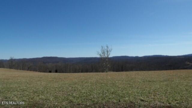 Lot 63 Walleye Drive Celina, TN 38551 - Photo 8 of 24 100_0010