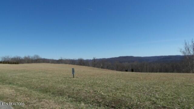 Lot 63 Walleye Drive Celina, TN 38551 - Photo 9 of 24 100_0011