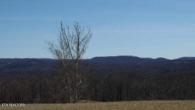 Lot 63 Walleye Drive Celina, TN 38551 - Photo 10 of 24 100_0012