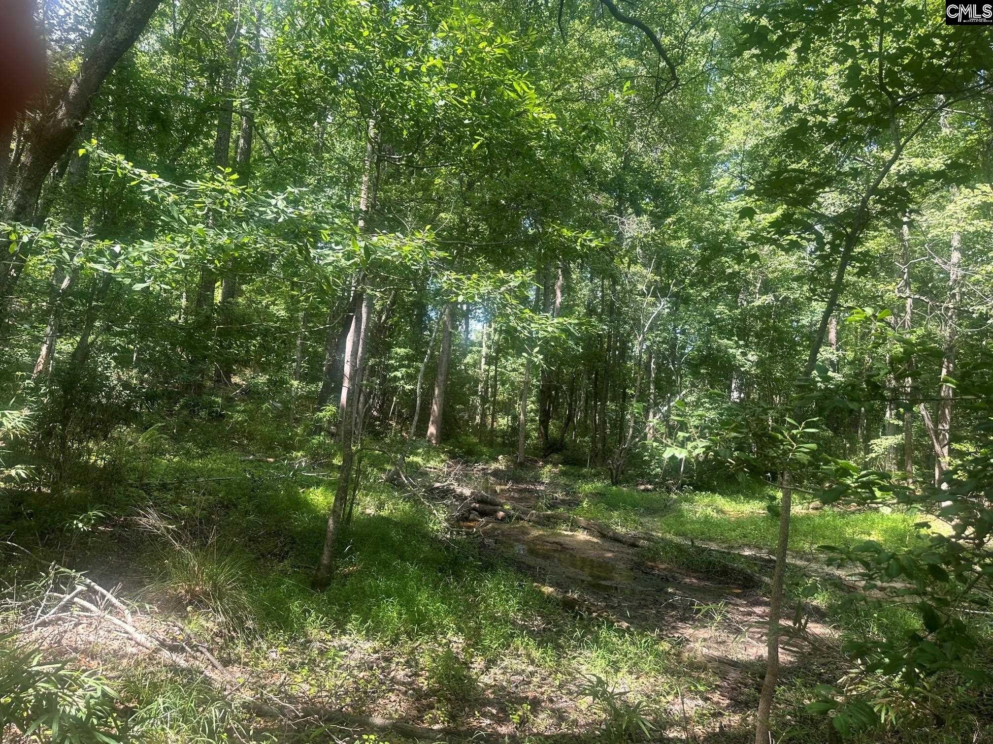 177 Albert Allen Road Columbia, SC 29203 - Photo 10 of 20 Gallery Image 10