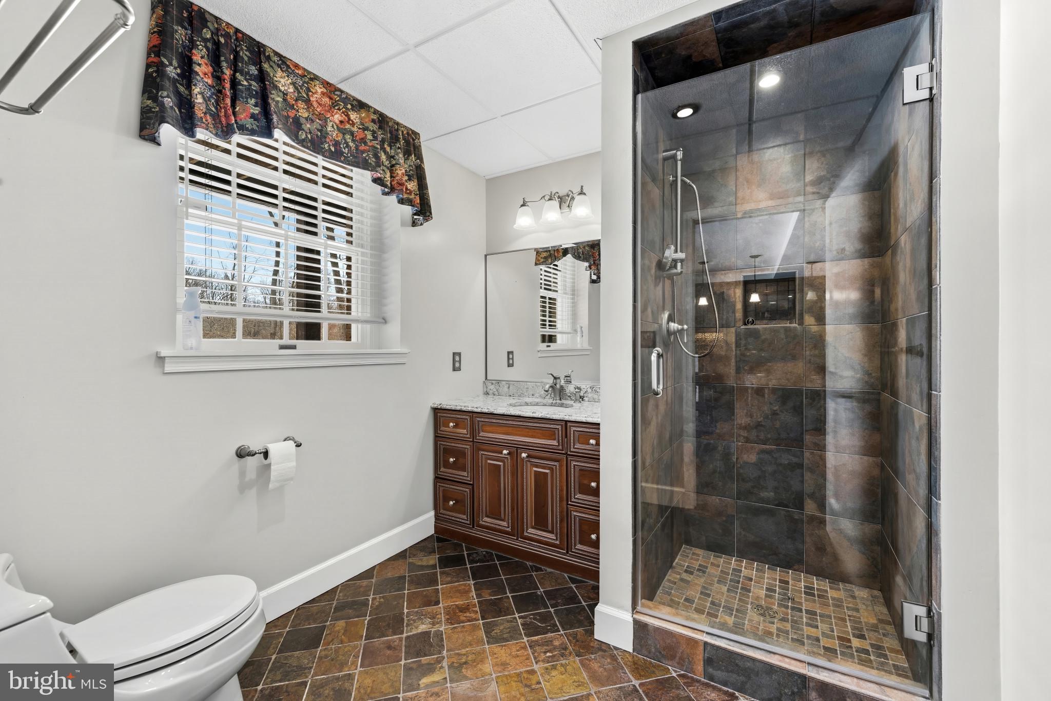 14002 Fox Run Court Phoenix, MD 21131 - Photo 48 of 64 a bathroom with a shower a toilet and a sink