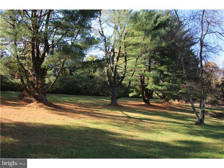 138 Heyburn Road Chadds Ford, PA 19317 - Photo 21 of 24 View from Front Door