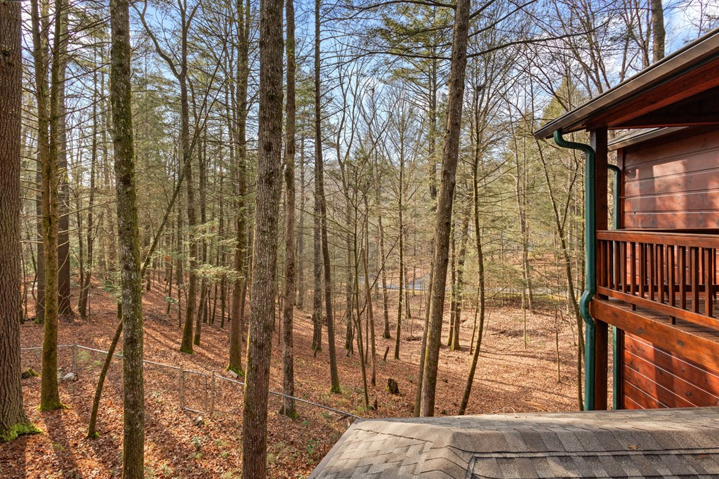 105 River Road Cherry Log, GA 30522 - Photo 5 of 73