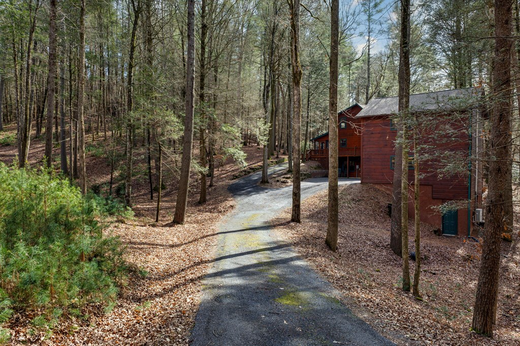 105 River Road Cherry Log, GA 30522 - Photo 64 of 73