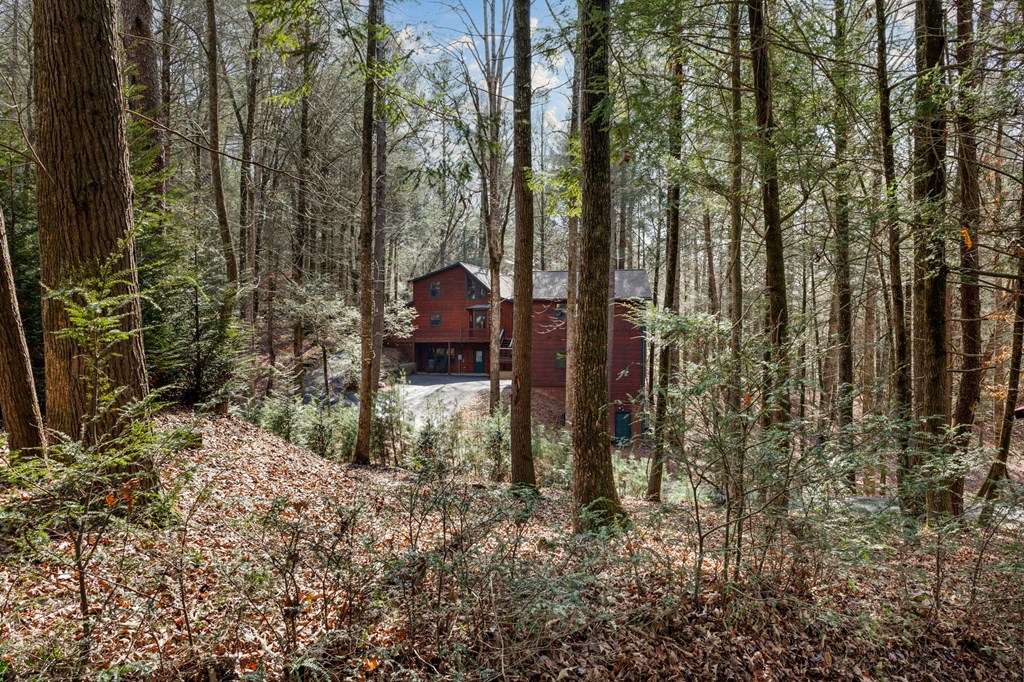 105 River Road Cherry Log, GA 30522 - Photo 66 of 73