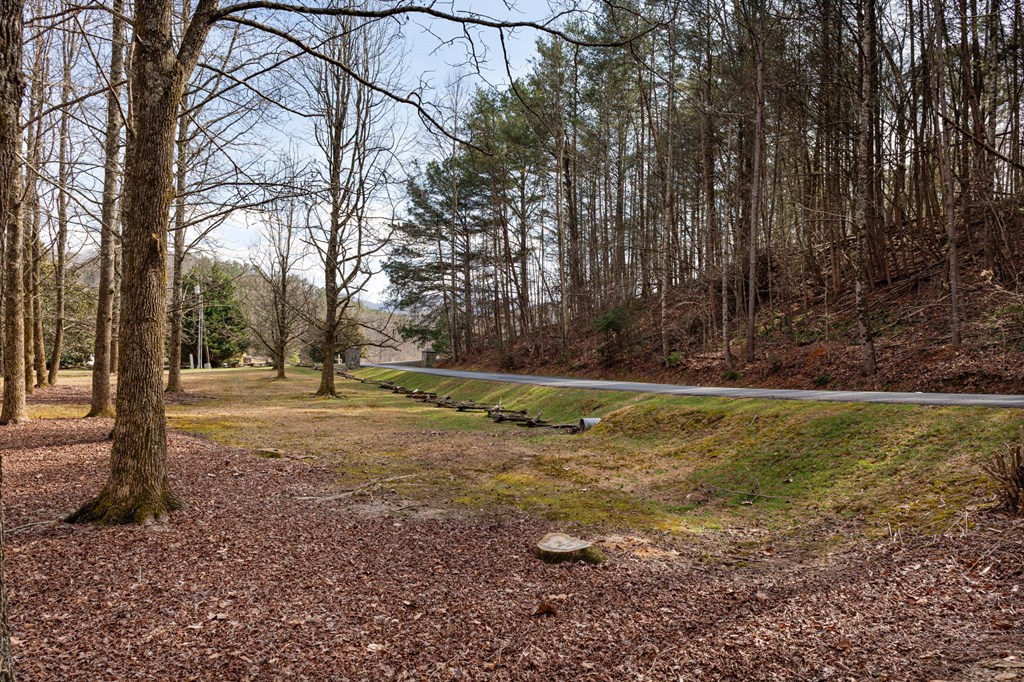 105 River Road Cherry Log, GA 30522 - Photo 71 of 73