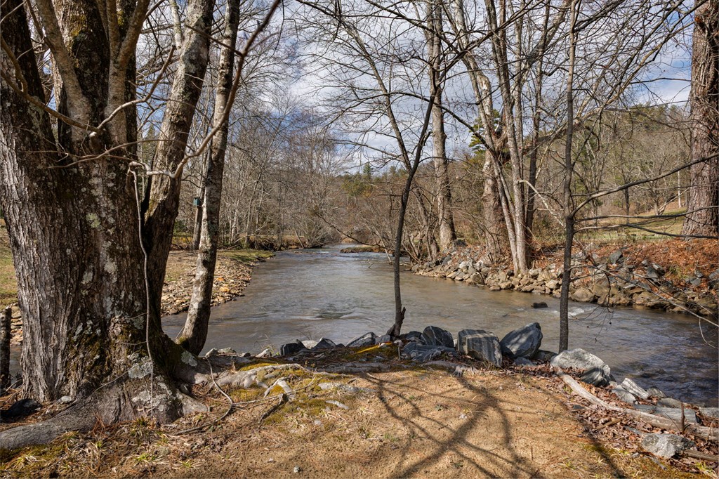 105 River Road Cherry Log, GA 30522 - Photo 72 of 73