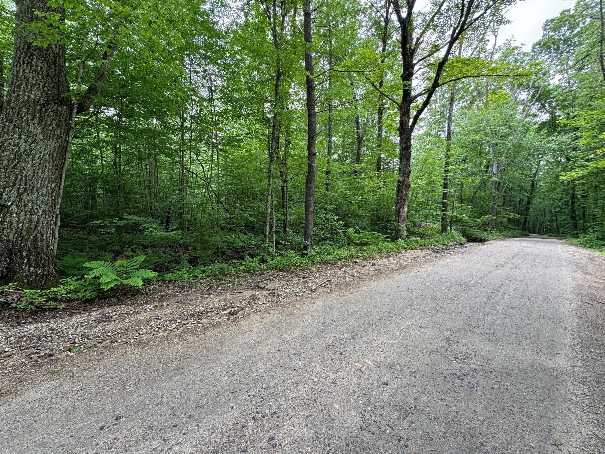 0 Patrill Hollow Road Hardwick, MA 01037 - Photo 5 of 24 Gallery Image 5