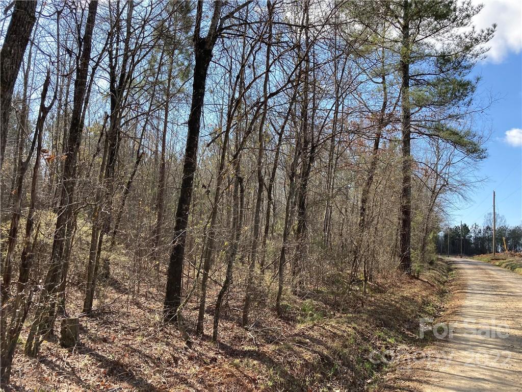 62-acres Catfish Road Saluda, SC 29138 - Photo 14 of 36 a view of covered with green space