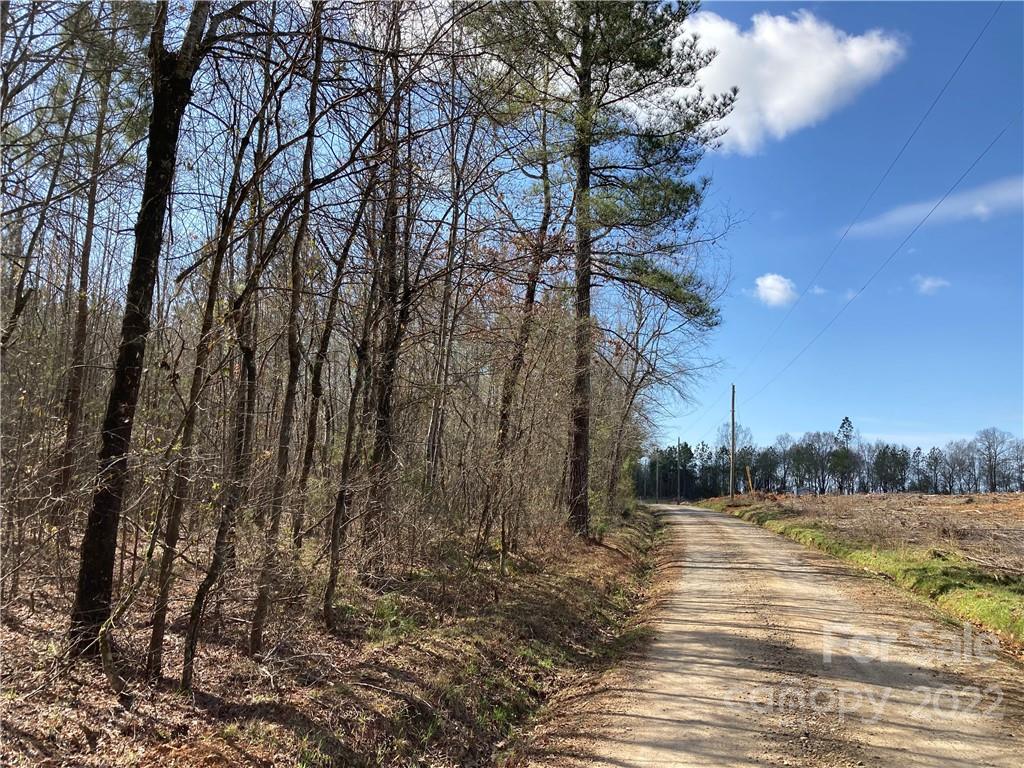 62-acres Catfish Road Saluda, SC 29138 - Photo 15 of 36 a view of a yard with a tree