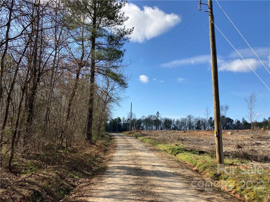 62-acres Catfish Road Saluda, SC 29138 - Photo 18 of 36 a view of a yard