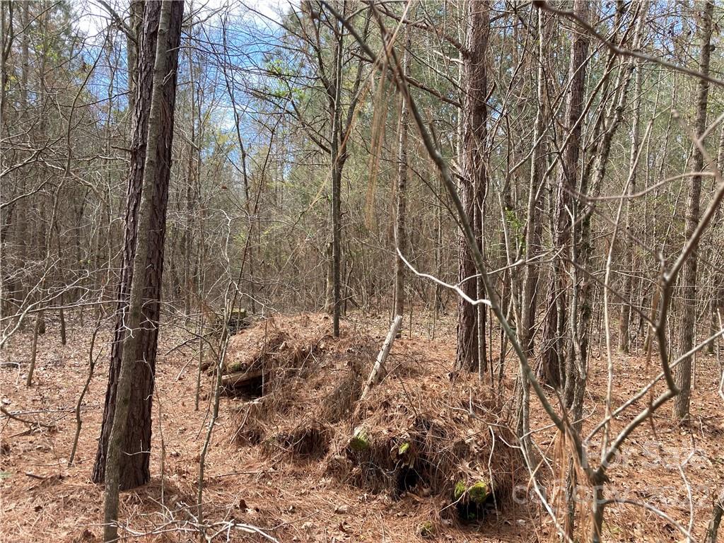 62-acres Catfish Road Saluda, SC 29138 - Photo 20 of 36 a backyard of a house with lots of green space