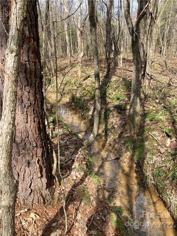 62-acres Catfish Road Saluda, SC 29138 - Photo 29 of 36 a view of a yard with a tree
