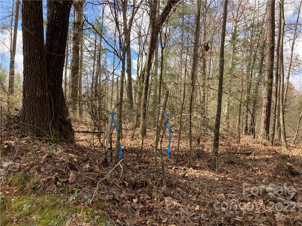 62-acres Catfish Road Saluda, SC 29138 - Photo 30 of 36 a view of outdoor space and garden
