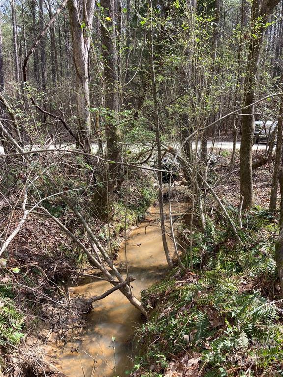 62-acres Catfish Road Saluda, SC 29138 - Photo 3 of 36 a view of a tree
