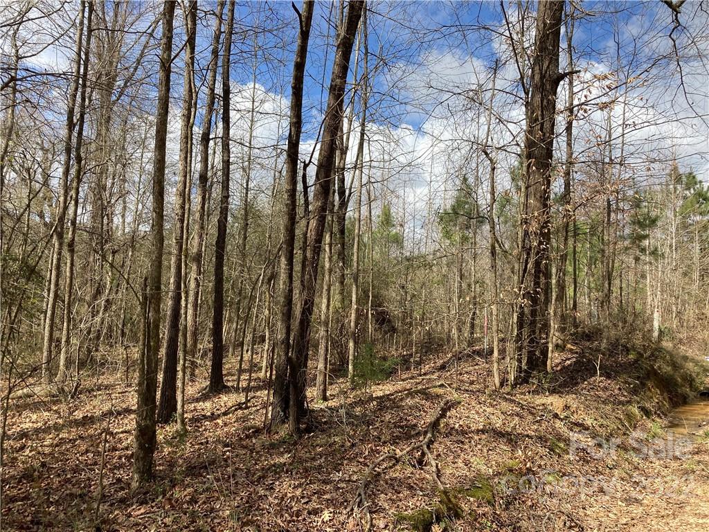 62-acres Catfish Road Saluda, SC 29138 - Photo 33 of 36 a backyard of a house with lots of green space