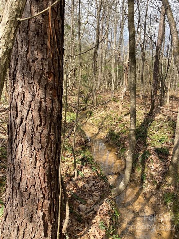 62-acres Catfish Road Saluda, SC 29138 - Photo 4 of 36 a backyard of a house
