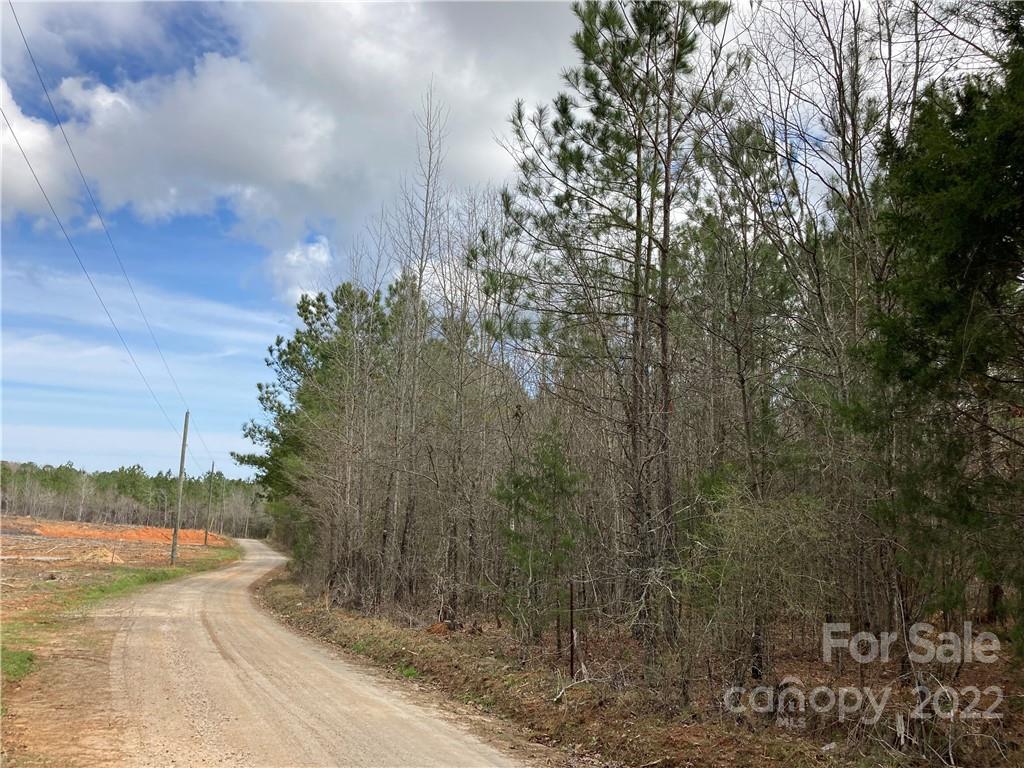 62-acres Catfish Road Saluda, SC 29138 - Photo 7 of 36 a view of a yard