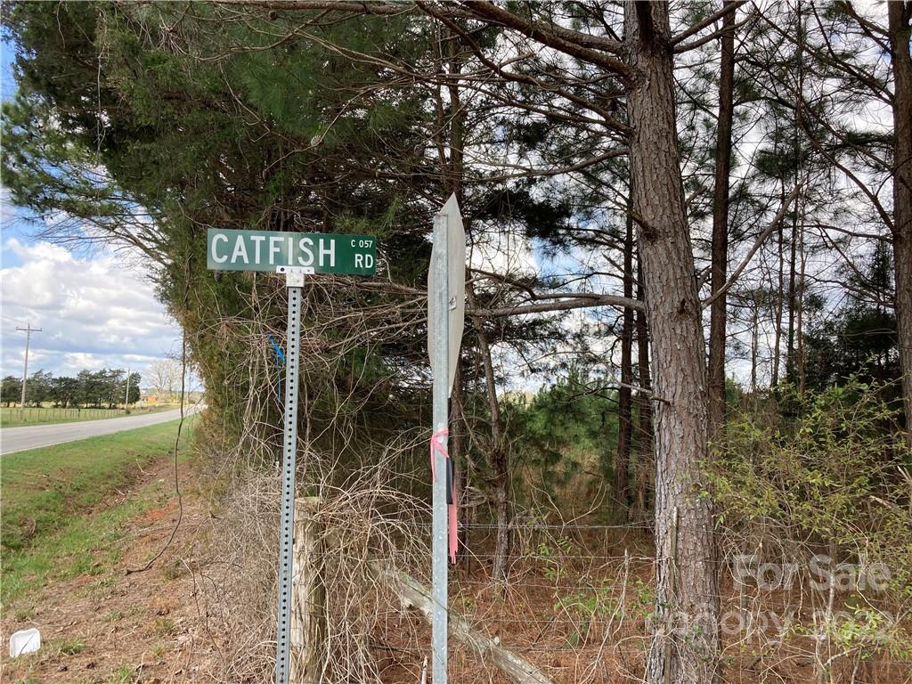 62-acres Catfish Road Saluda, SC 29138 - Photo 10 of 36 a view of a garden