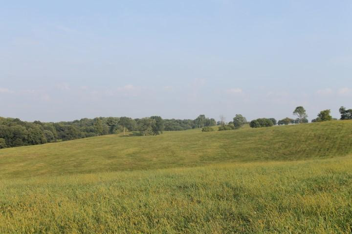 100 Concord & Burris Road Carlisle, KY 40311 - Photo 5 of 9 Photo 5