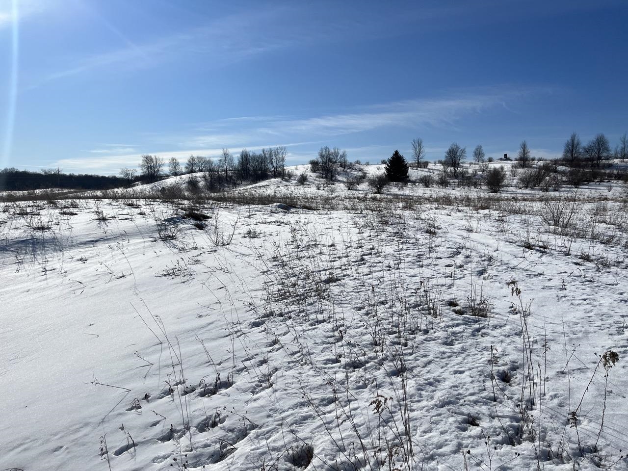 Parcel O Florey's Ranch Road, Unit LOT: O Grawn, MI 49637 - Photo 9 of 11