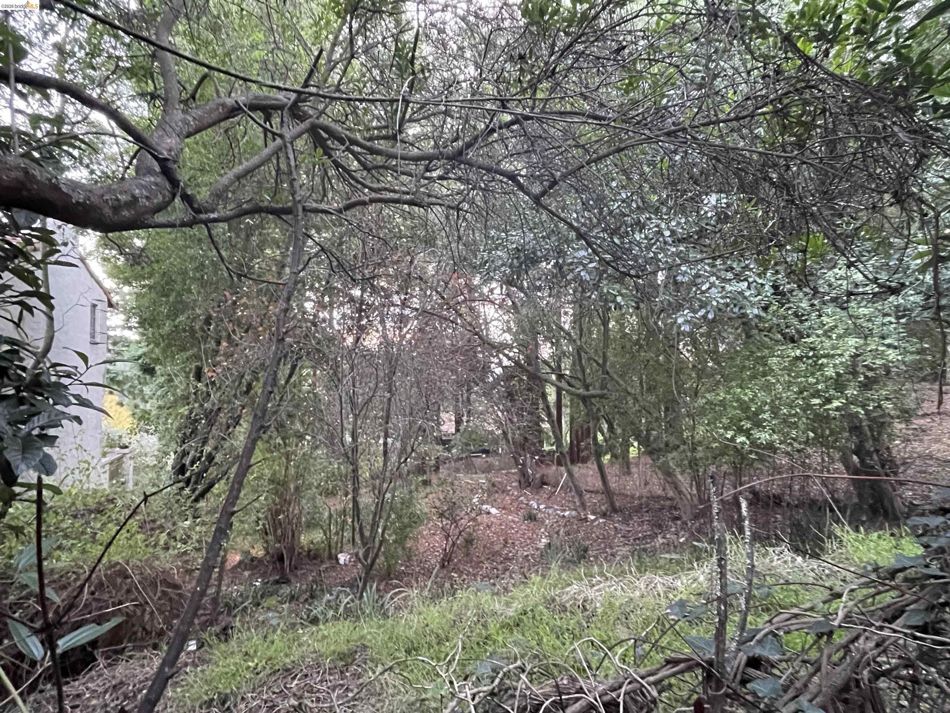 962 Regal Road Berkeley, CA 94708 - Photo 11 of 17