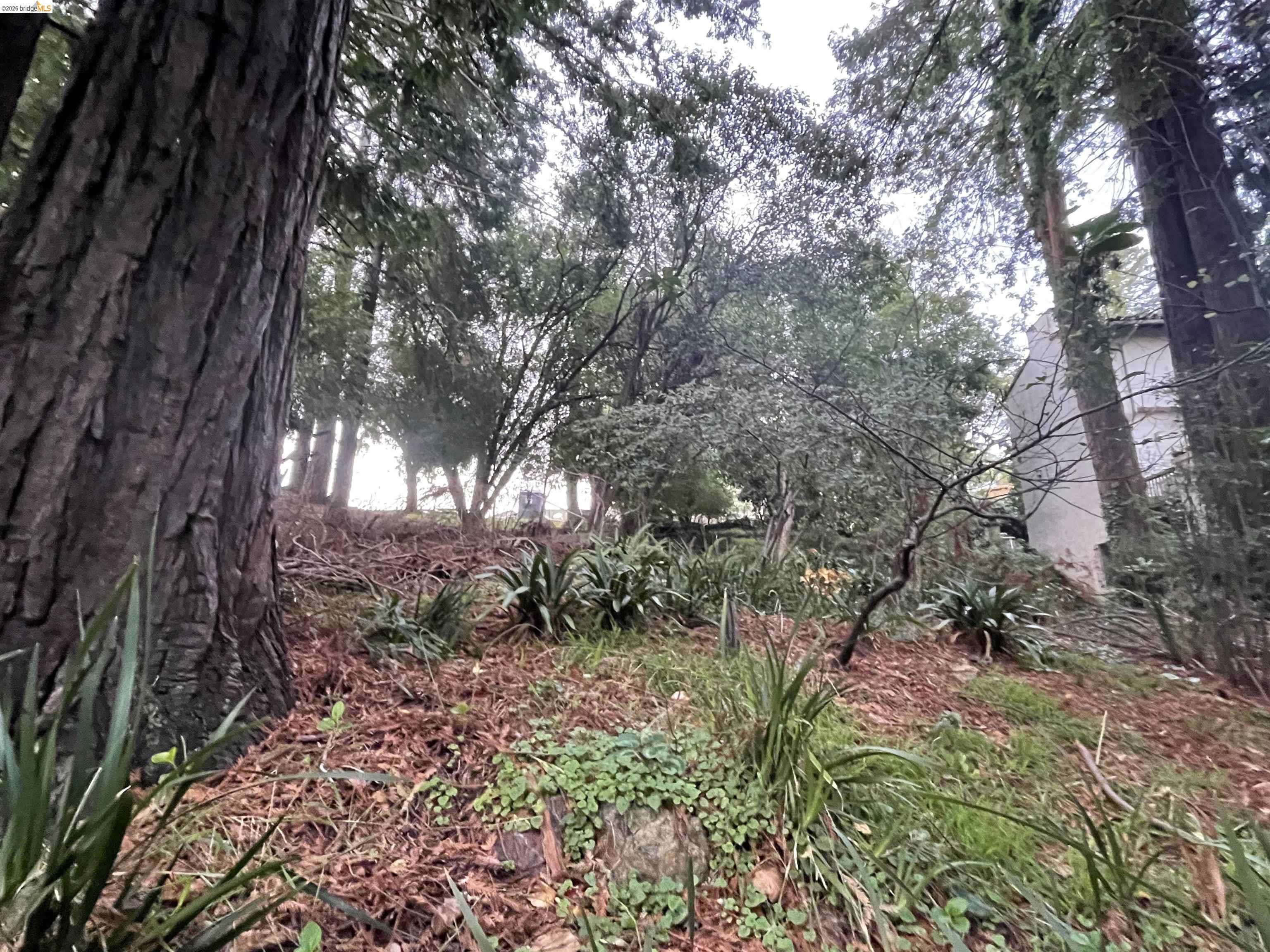 962 Regal Road Berkeley, CA 94708 - Photo 13 of 17