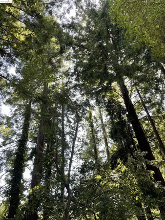 $499,000 | 962 Regal Road, Berkeley, CA 94708