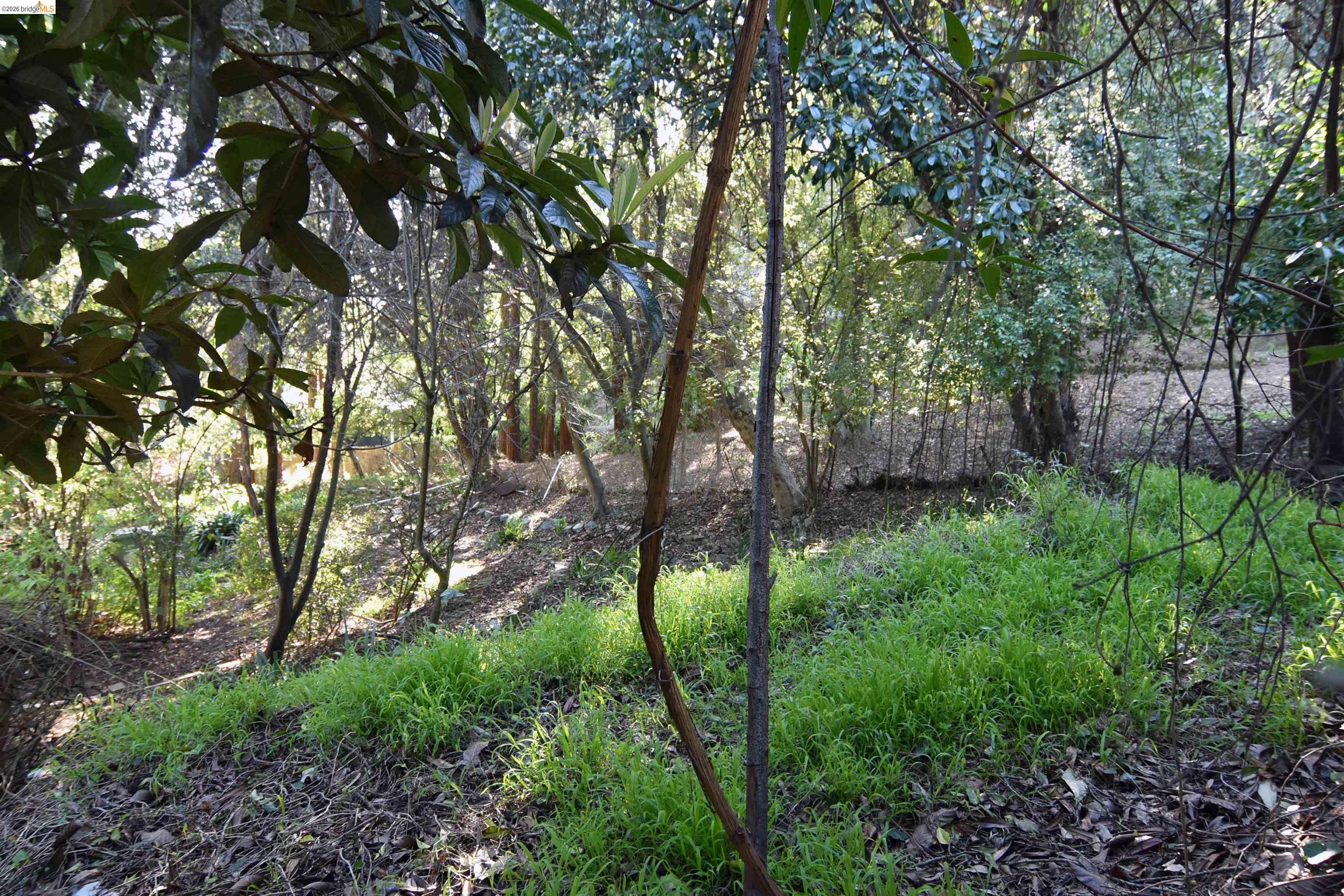 962 Regal Road Berkeley, CA 94708 - Photo 3 of 17