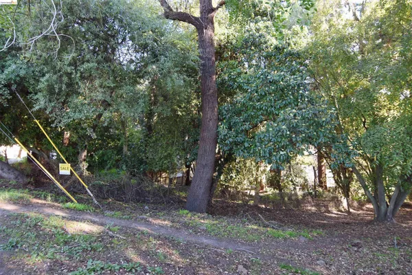 a backyard of a house with lots of trees