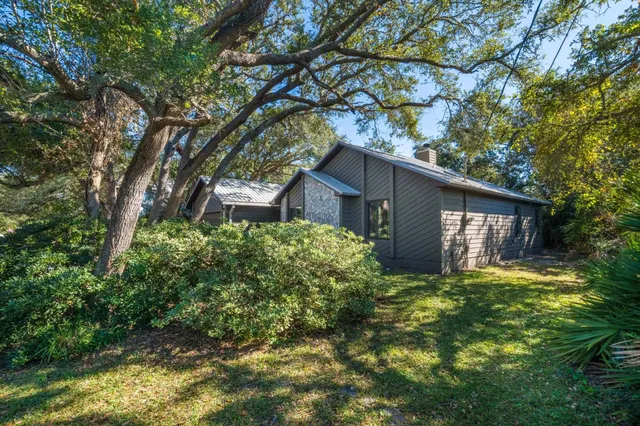 a backyard of a house with plants and large tree